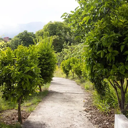 Home2book Finca La Golosa 3 Cozy Studio, Terrace * La Orotava